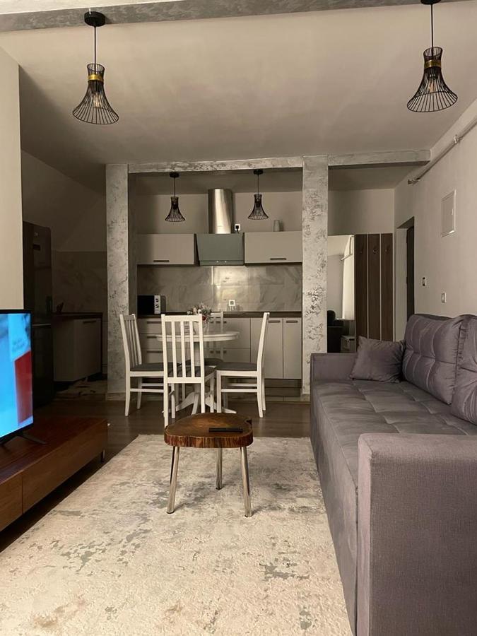 Sofia Loft Apartment Bistrita  Ngoại thất bức ảnh